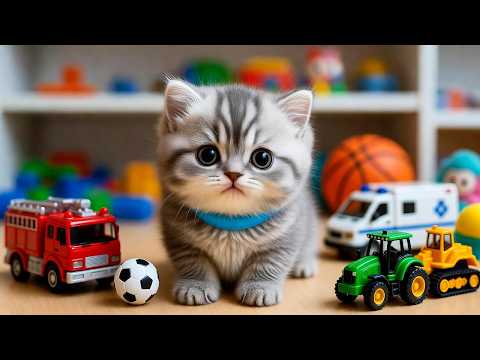 My Favorite Cat | Little Kitten Pet Care & Play Games for Babies, Toddlers & Kids