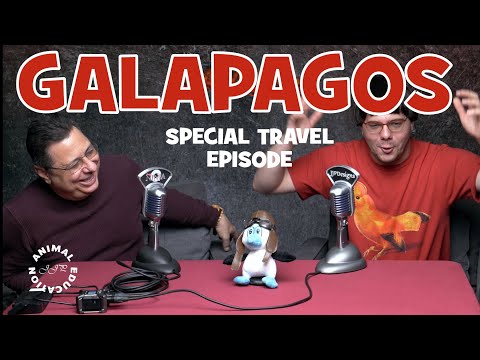 Galapagos | Special Travel Episode - Animal Education