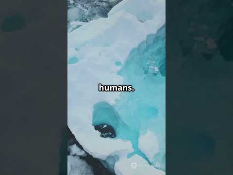 Ancient Virus Revived from Ice!