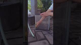 Menyiapkan kandang Ballpython. #snake #ballpythonsofinstagram #reptiles #ballpython #python #cute