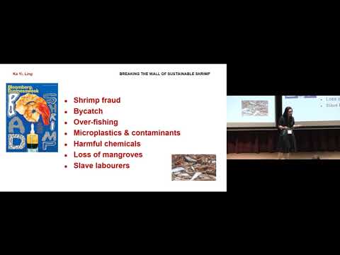 Falling Walls Lab Sg 2019 - LING Ka Yi / Breaking the Wall of Sustainable Shrimp