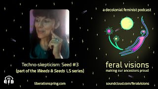 Techno-skepticism: Seed #2