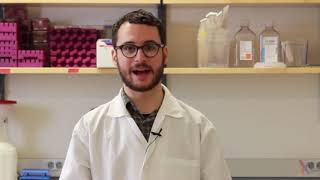 PCR Method Video