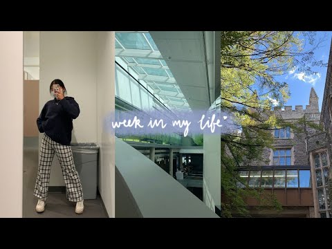 WEEKLY VLOG | a week in my life as a college student 🌱 studying, cooking & cleaning | Allie C.