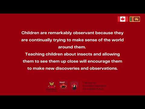 Entomology