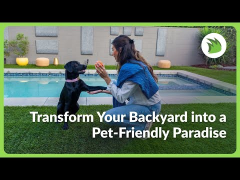 Transform Your Backyard into a Pet-Friendly Paradise with PetPRO Artificial Grass!