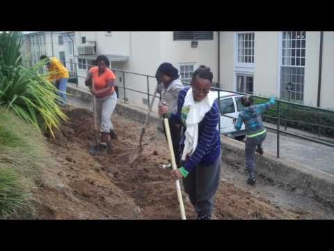 The Power of Collaboration by Robyn Stegman, AmeriCorp VISTA Volunteer Reporter