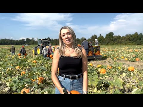 What's Growing in Norfolk County