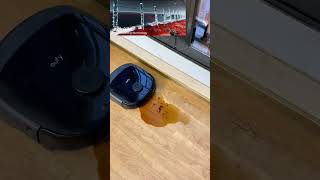 Do I still need to mop my floors?#robot #eufy #robotcleaner #robotvacuum #test #shorts #fyp #foryou