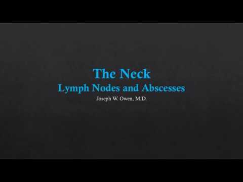 Neck US - Lymph Nodes and Abscesses