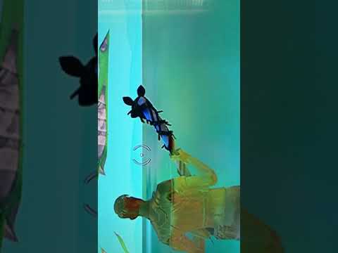 Under map glitch