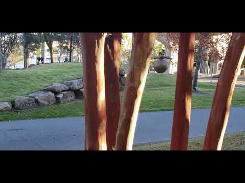 View Under Bridge