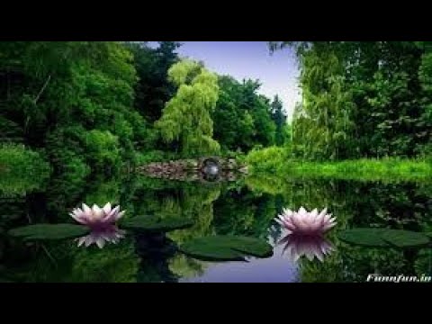 Amazing Nature Sounds, Study Music, Sleeping Music, Relaxation Music, Calming Music, Spa Music,