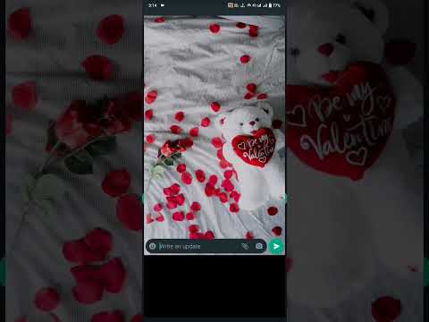 How to make WhatsApp channel in Pakistan