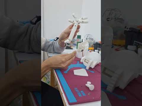 تفاصيل الذراع | الجزء الأول