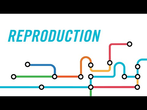 Reproduction | Vies futures