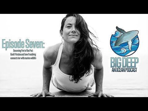 Big Deep - An Ocean Podcast, Episode Seven: Becoming Part of the Pod