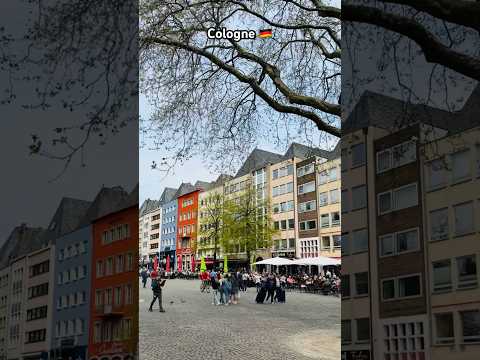 Cologne's Beautiful City Center #shorts #germany #europe #travel #ytshorts #trending #viral #city