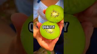 Amazing Facts About Foods You Did Not Know #facts #foodfacts #easynutrition #science #food #shorts