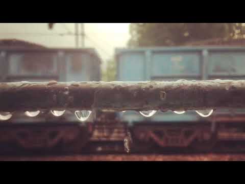 Peace in Rain