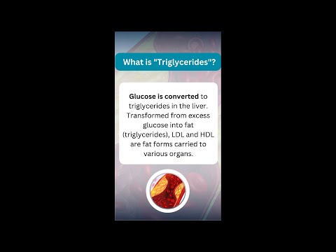 What is Triglycerides || Dr Soumen Roy