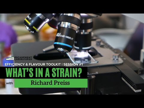 What's in a Strain? How Escarpment Labs Makes New Strains | Efficiency & Flavour Toolkit Series
