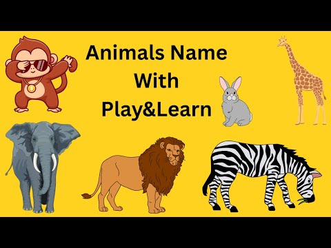 Animals Name 