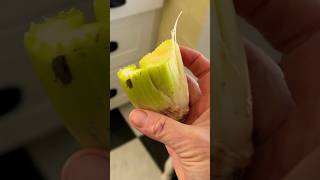 How to Grow Celery From a Celery Stalk - EASY with RESULTS!!!