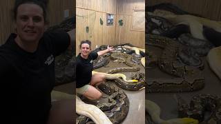 What’s in the secret snake room?😮