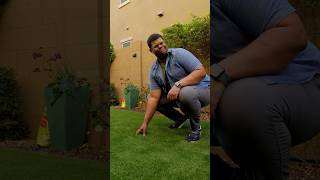 How to clean your turf properly #turf #clean #cleaning #turfgrass #problemsolved