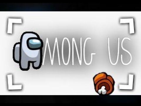 PREMIER STREAM SUR AMONG US ! - Best Off Twitch #1