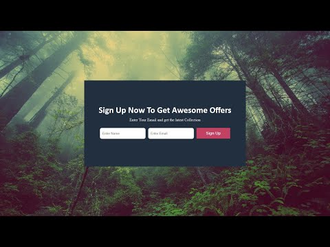 Amazing Newsletter Section Using Only | HTML & CSS |