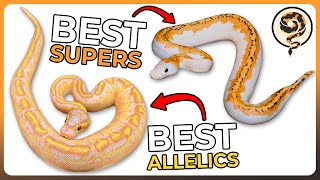 These are 9 of the Best Super and Allelic Ball Python Morphs!