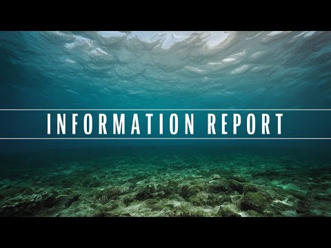 Writing an information report #writing #school #english