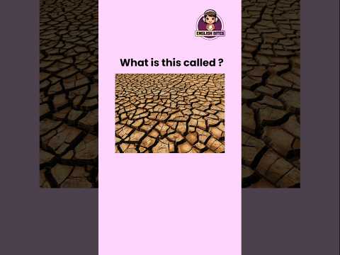 Can you name these disasters? #english #learnenglish #dailyenglish #disasters
