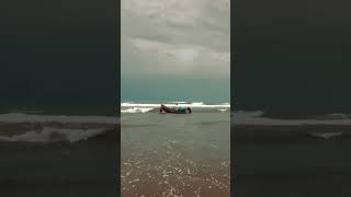 #popular #travel #comedymove #funny #charttopper #lifeisbutadream #hitsong #birds #comedyfilms