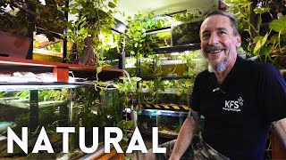 100+ Natural Aquariums in This Home | Mini Tour