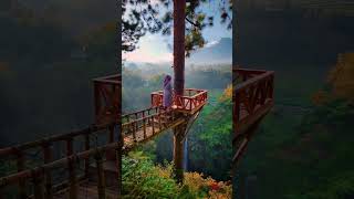 Javanese Wonders: Exploring the Heart of Indonesia! 🏞️ #JavaJourney