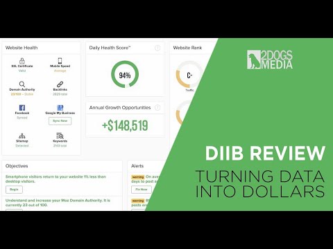 Diib Review & Introduction