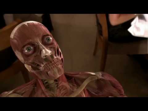 PODER CEREBRAL (Episodio 2)