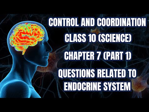 Class10 Science Chapter 7 | Control and Coordination | Endocrine System & Important Questions | CBSE