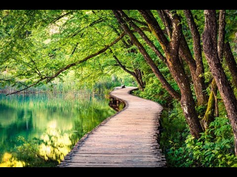 Simple and beautiful scenery|step by step🖌️🎨
