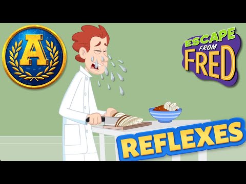 "Escape from Fred: Reflexes" by Adventure Academy