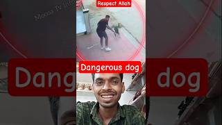 MashAllah👆😲Respect😱 #allah #shorts #status #short #respect #thejibonvaihere