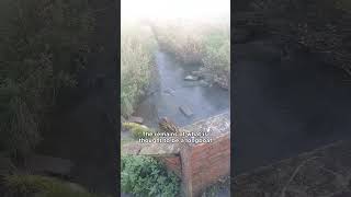 LOST VIKING LONGBOAT IN BOLDON SOUTH TYNESIDE 👀 #northeastengland #northeasthistory #boldon
