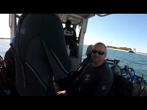 Diving Wolf Rock