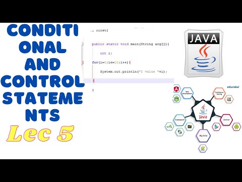 Control and Conditional Statements  | Java | Lec 5