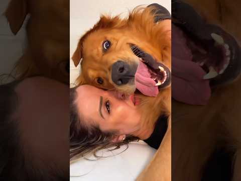 POV: You’re Just A Pillow Now