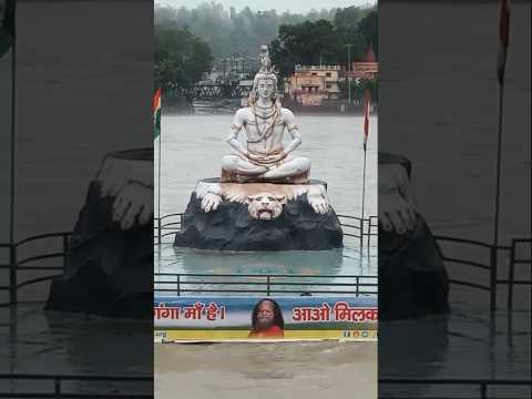 Shiv Kawad Yatra 2025 🙏🙏🚩| Kawad 2025 | Kawad  2025 | #haridwar #kawadyatra #kawadyatra2025 #shiv