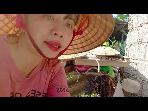 Preparing My Garden for a Fresh Season. Vlog 5